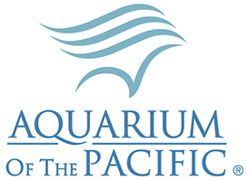 12. aquarium of the pacific